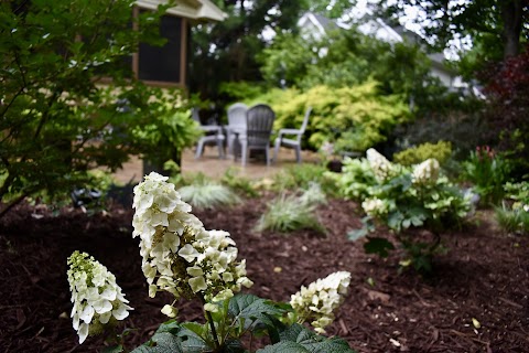 LandGreen Landscaping Inc. project photo
